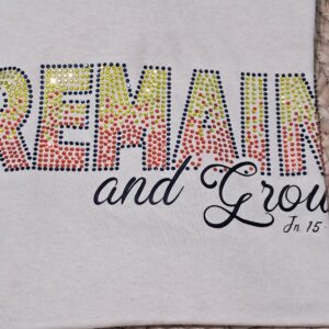 remain and grow jn 15:4